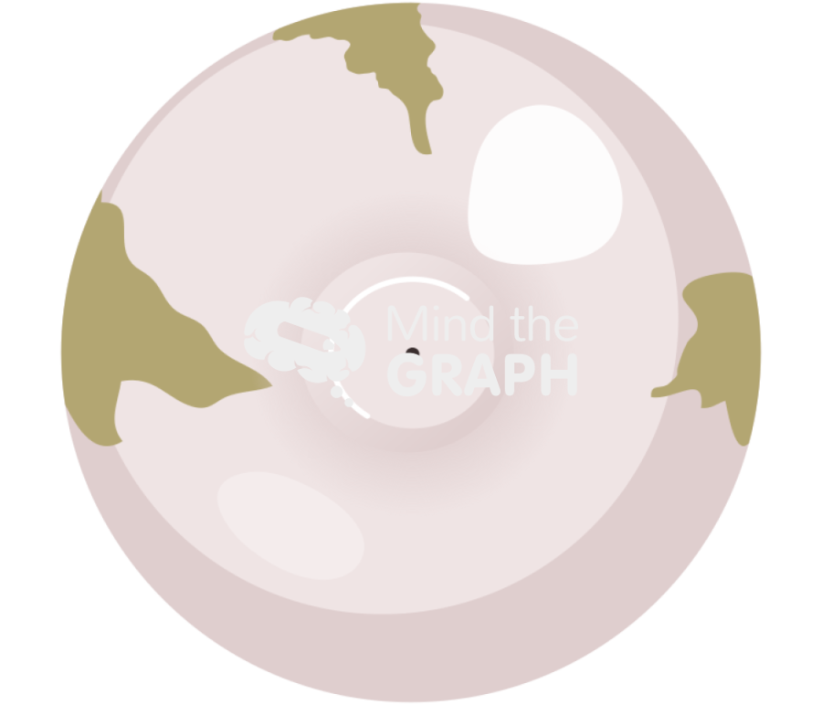 Pig eyeball posterior 2 Icons, Symbols, Pictures, and Images