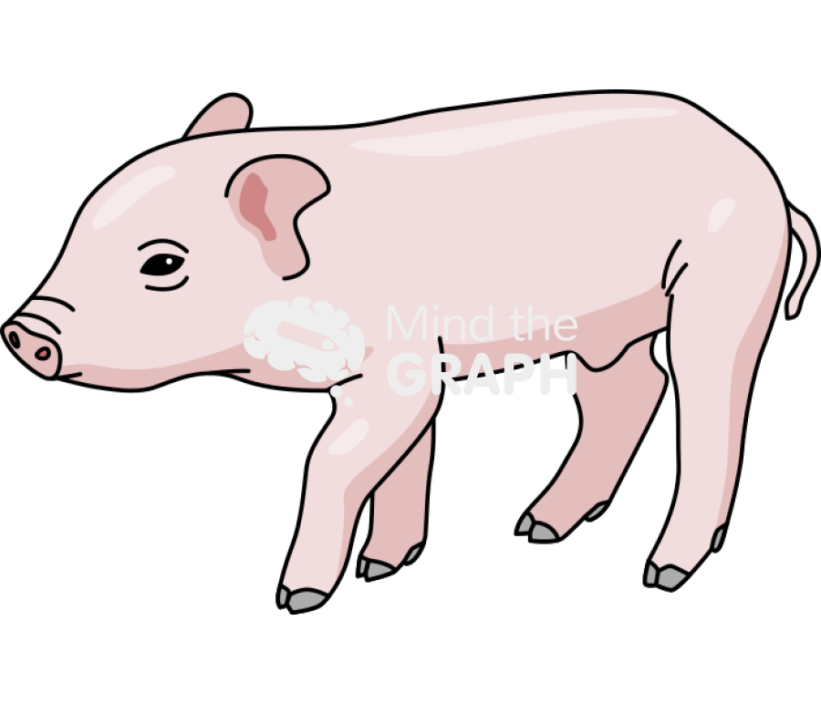 Piglet lateral Icons, Symbols, Pictures, and Images