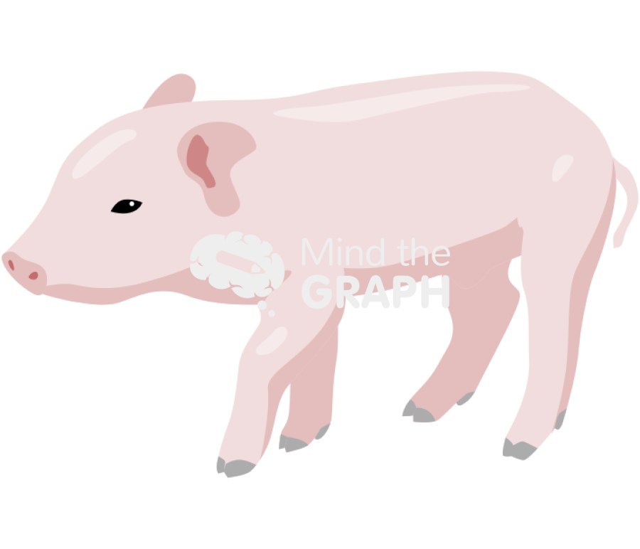 Piglet lateral Icons, Symbols, Pictures, and Images