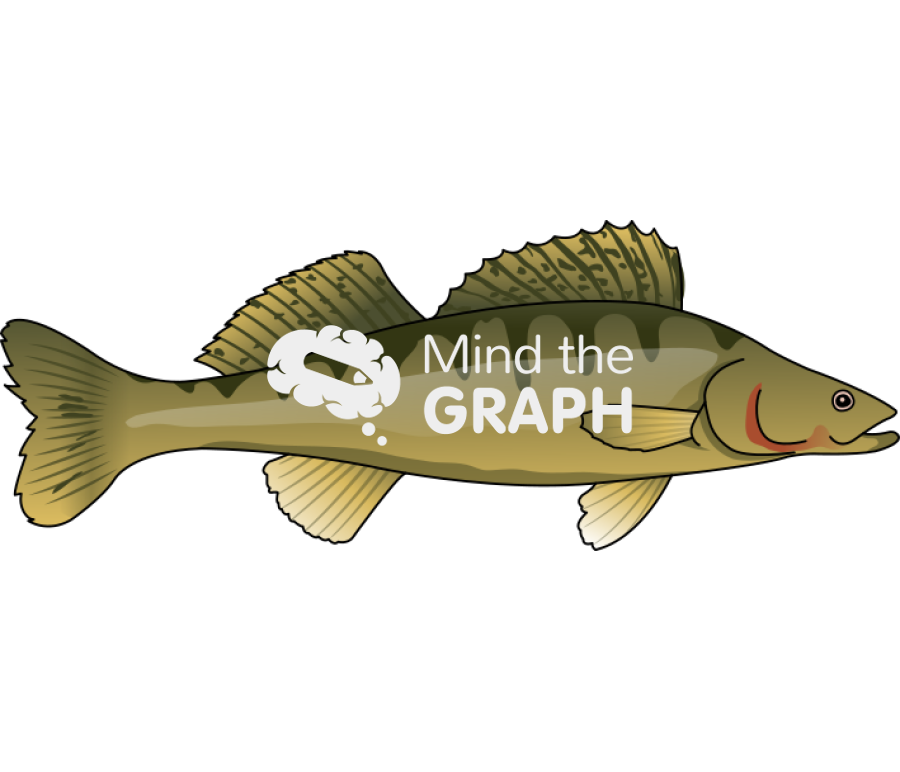 Pike perch fish Icons, Symbols, Pictures, and Images