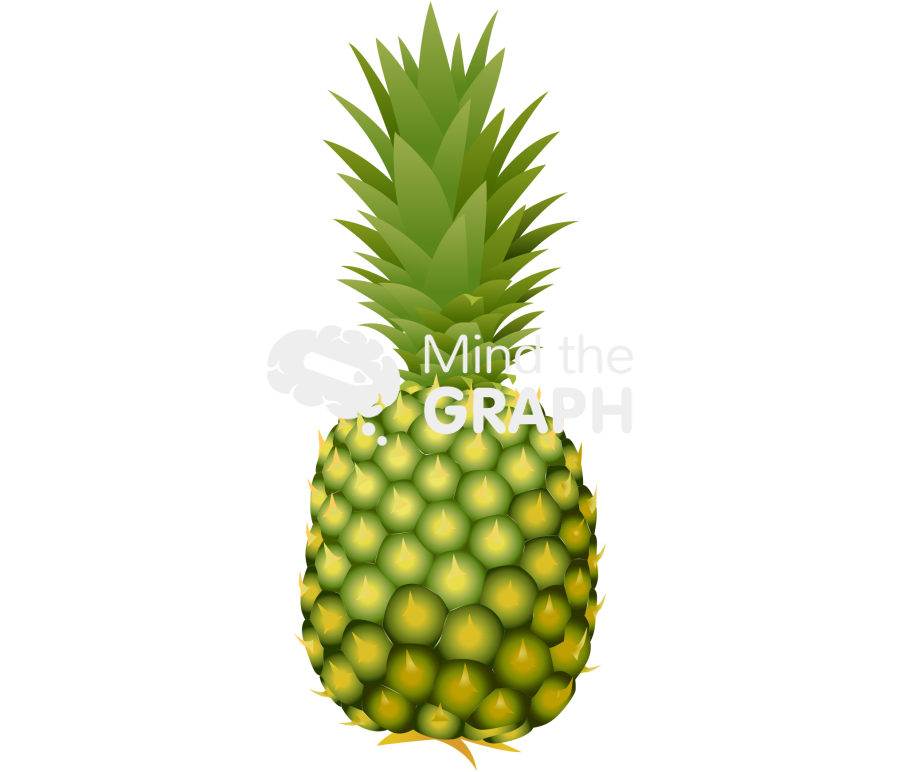 Free Pineapple front Icons, Symbols, Pictures, and Images | Mind the Graph