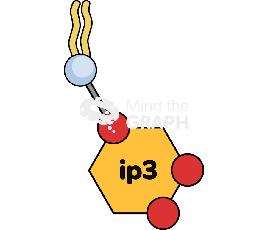 Pip2 molecule simple Icons, Symbols, Pictures, and Images