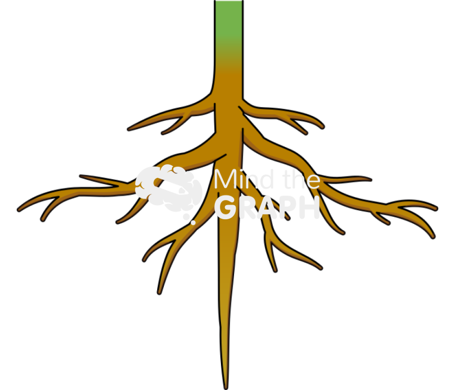 Pivotal axial root Icons, Symbols, Pictures, and Images