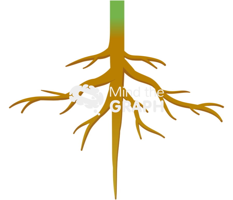 Pivotal axial root Icons, Symbols, Pictures, and Images