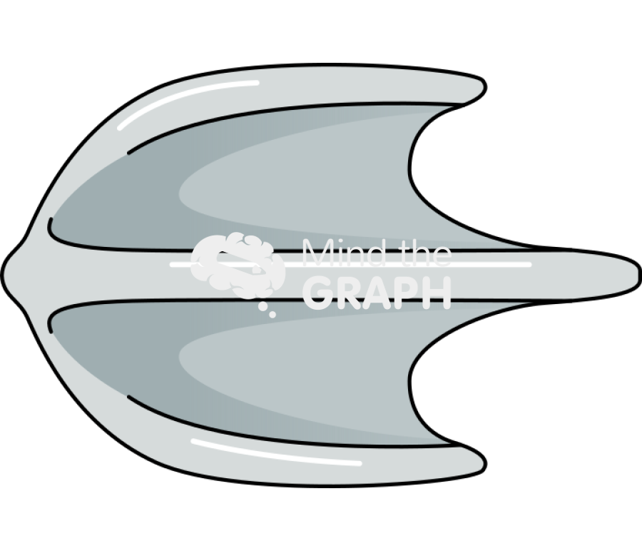 Placoid scale top Icons, Symbols, Pictures, and Images