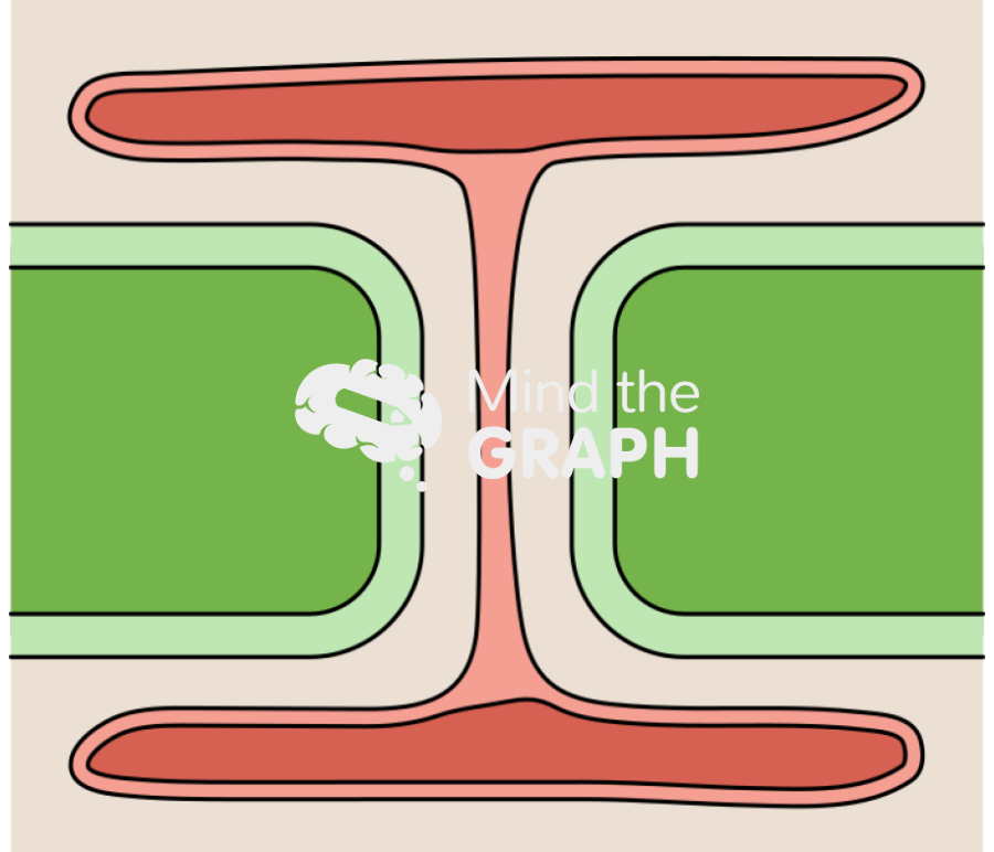 Plant cell desmotubule Icons, Symbols, Pictures, and Images