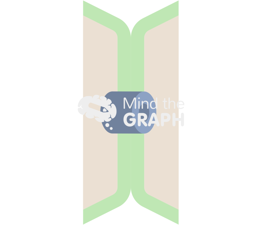 Plant cell gap junction 1 membrane Icons, Symbols, Pictures, and Images