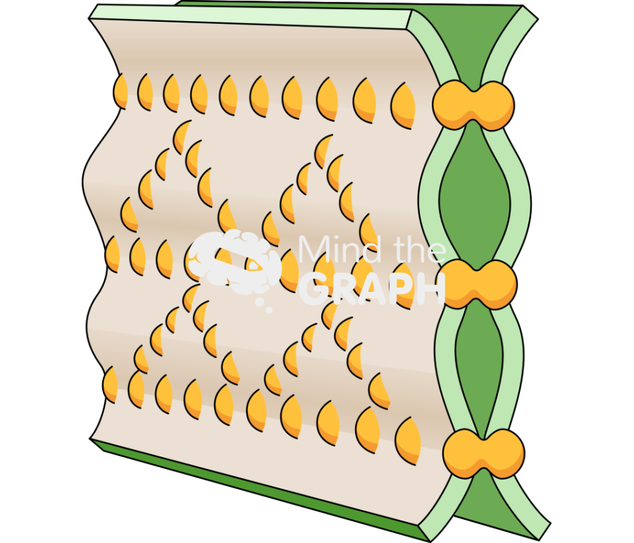 Plant cell tight junction Icons, Symbols, Pictures, and Images