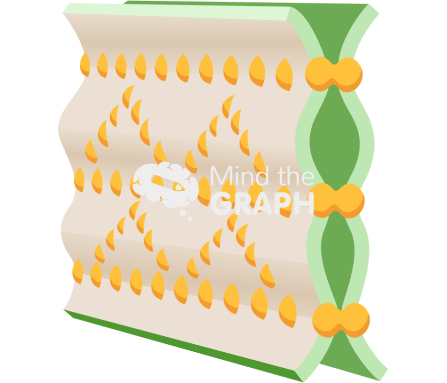 Plant cell tight junction Icons, Symbols, Pictures, and Images