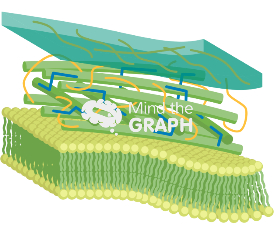 Plant cell wall Icons, Symbols, Pictures, and Images