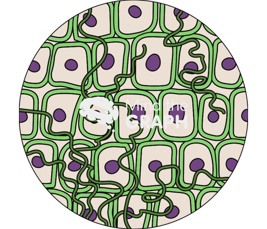 Plant endophyte cell zoom Icons, Symbols, Pictures, and Images