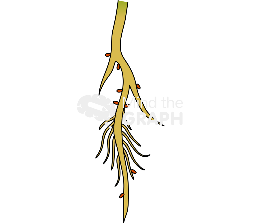 Plant root pathogens Icons, Symbols, Pictures, and Images