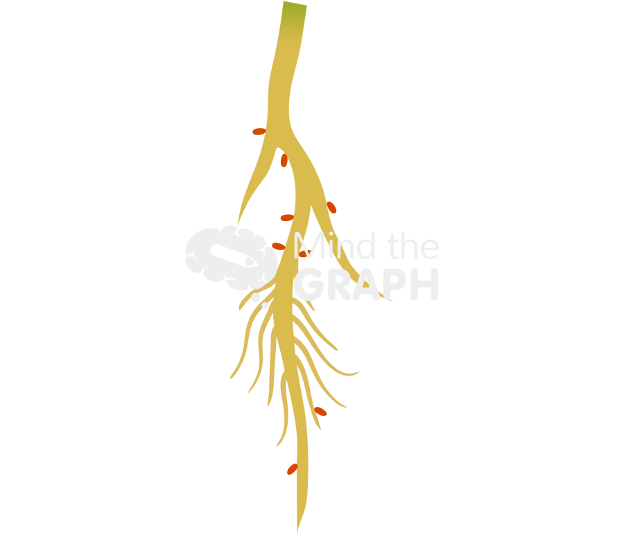 Plant root pathogens Icons, Symbols, Pictures, and Images