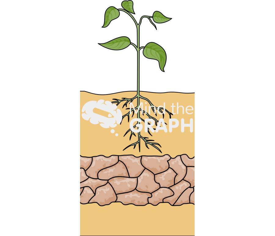 Plant root soil degraded Icons, Symbols, Pictures, and Images