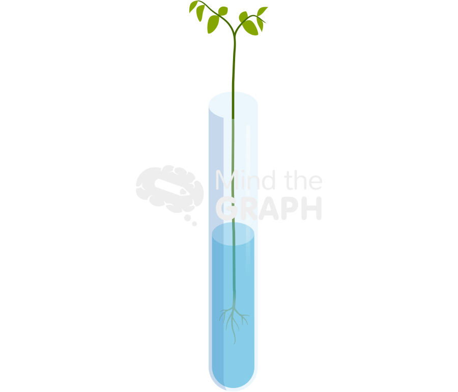 Plant test tubes Icons, Symbols, Pictures, and Images