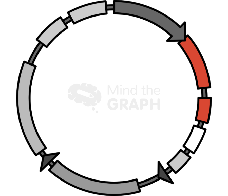 Plasmid 3 Icons, Symbols, Pictures, and Images