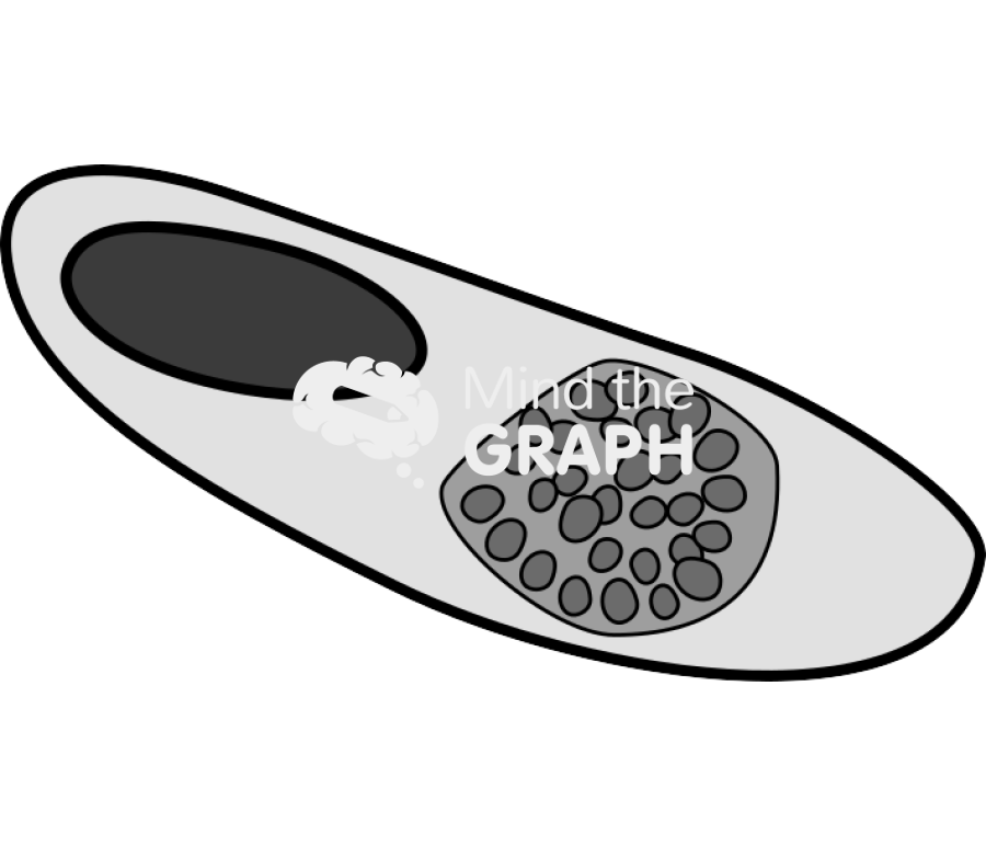 Plasmodium relictum infection bird blood cell Icons, Symbols, Pictures, and Images