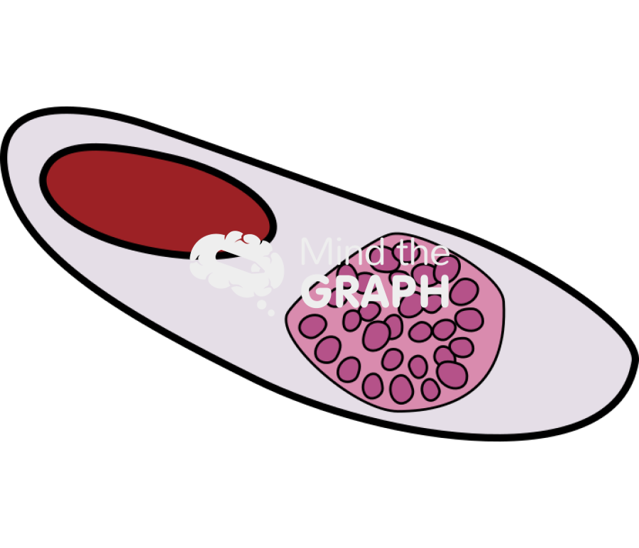 Plasmodium relictum infection bird blood cell Icons, Symbols, Pictures, and Images