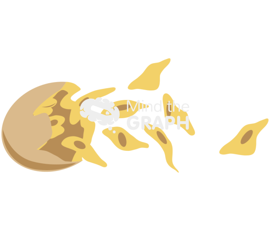 Plasmodium sporozoites Icons, Symbols, Pictures, and Images