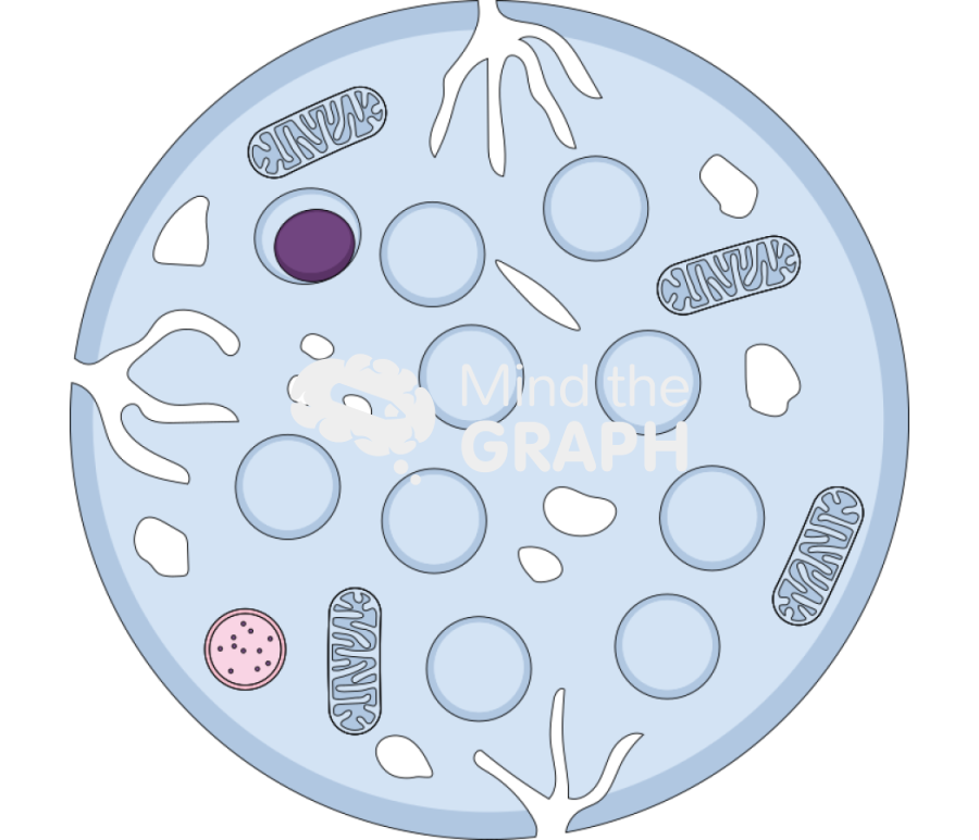 Platelet canalicular structure Icons, Symbols, Pictures, and Images
