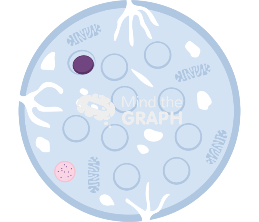 Platelet canalicular structure Icons, Symbols, Pictures, and Images