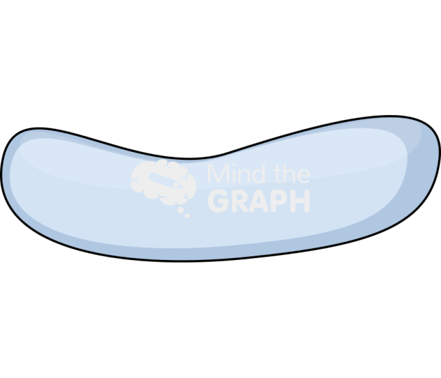 Platelets 1 Icons, Symbols, Pictures, and Images