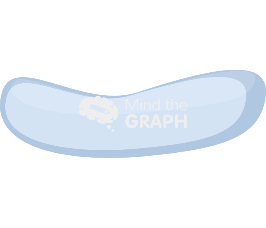 Platelets 1 Icons, Symbols, Pictures, and Images