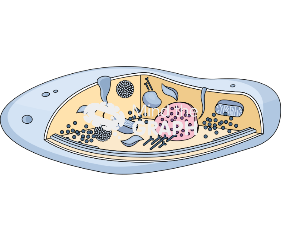 Platelets structure Icons, Symbols, Pictures, and Images