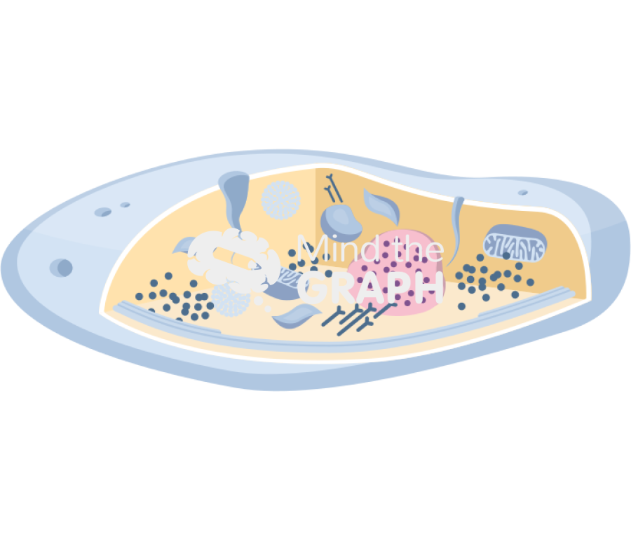 Platelets structure Icons, Symbols, Pictures, and Images