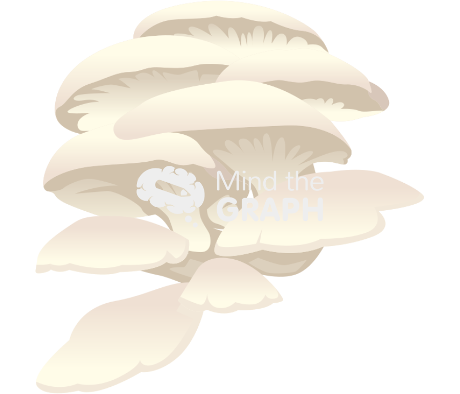 Pleurotus ostreatus Icons, Symbols, Pictures, and Images