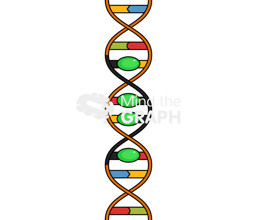 Pna dna cyanine triplex formation Icons, Symbols, Pictures, and Images