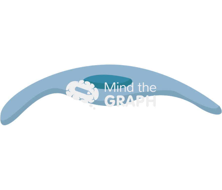 Pneumocyte type 1 2 Icons, Symbols, Pictures, and Images