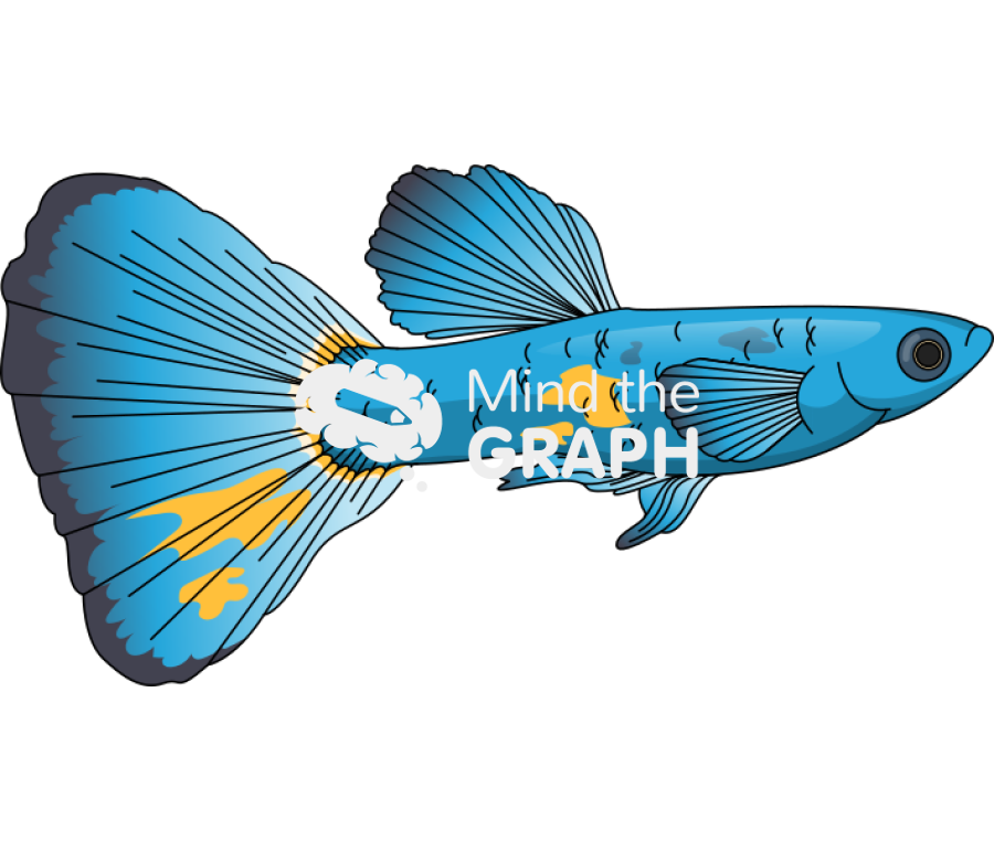 Poecilia reticulata guppy male fish Icons, Symbols, Pictures, and Images