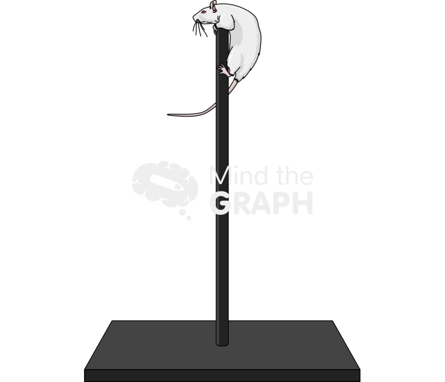 Pole test rat Icons, Symbols, Pictures, and Images