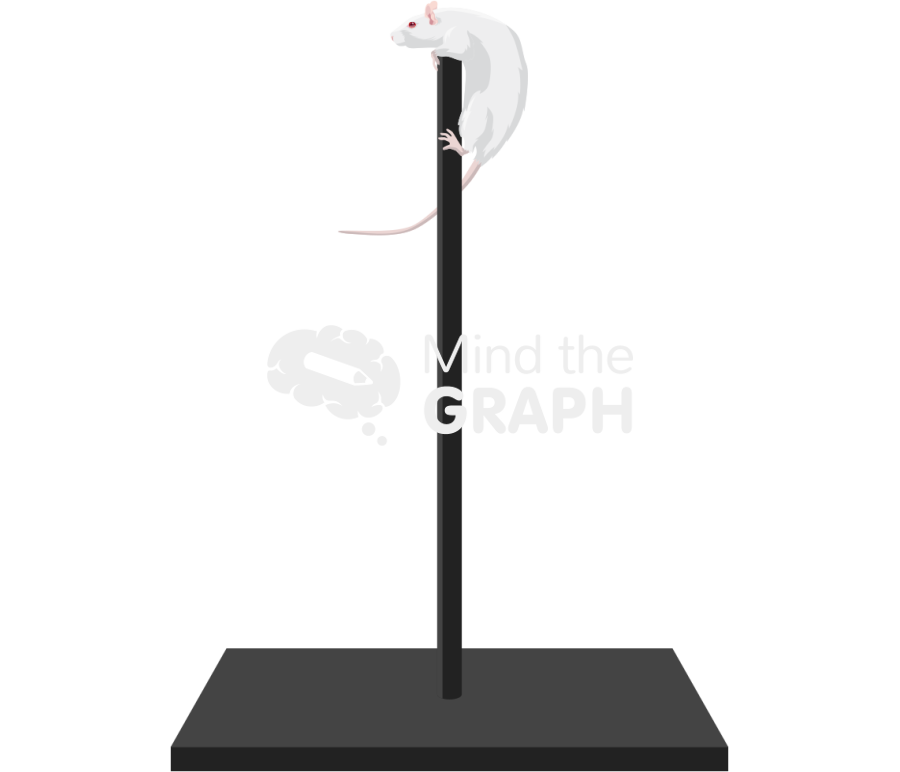 Pole test rat Icons, Symbols, Pictures, and Images