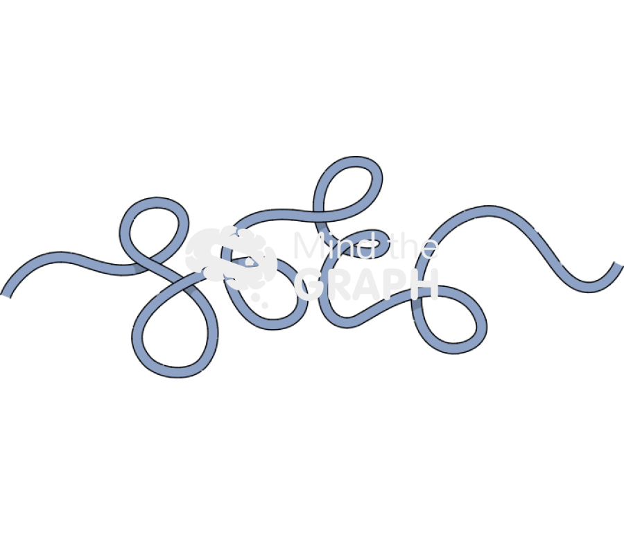 Polymer backbone 6 Icons, Symbols, Pictures, and Images