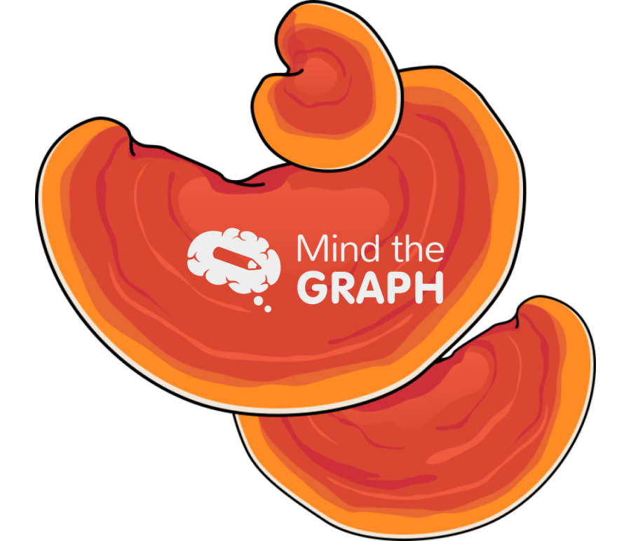 Polyporus sp 2 Icons, Symbols, Pictures, and Images