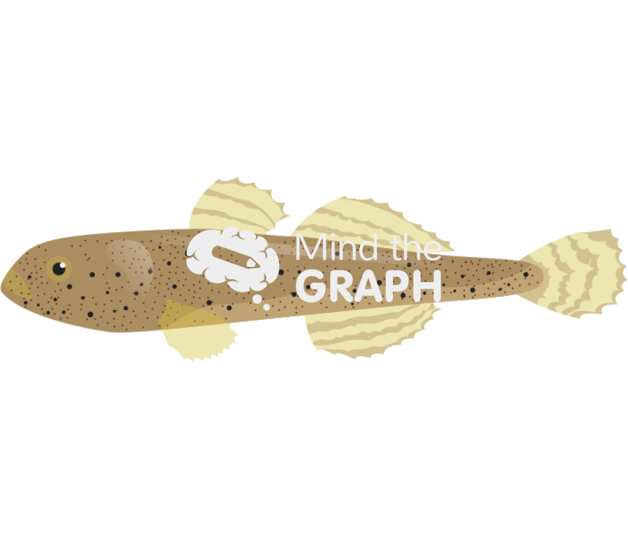 Pomatoschistus canestrini fish Icons, Symbols, Pictures, and Images