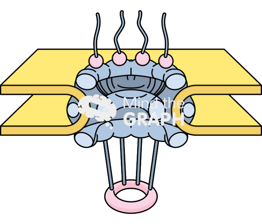 Pore Icons, Symbols, Pictures, and Images
