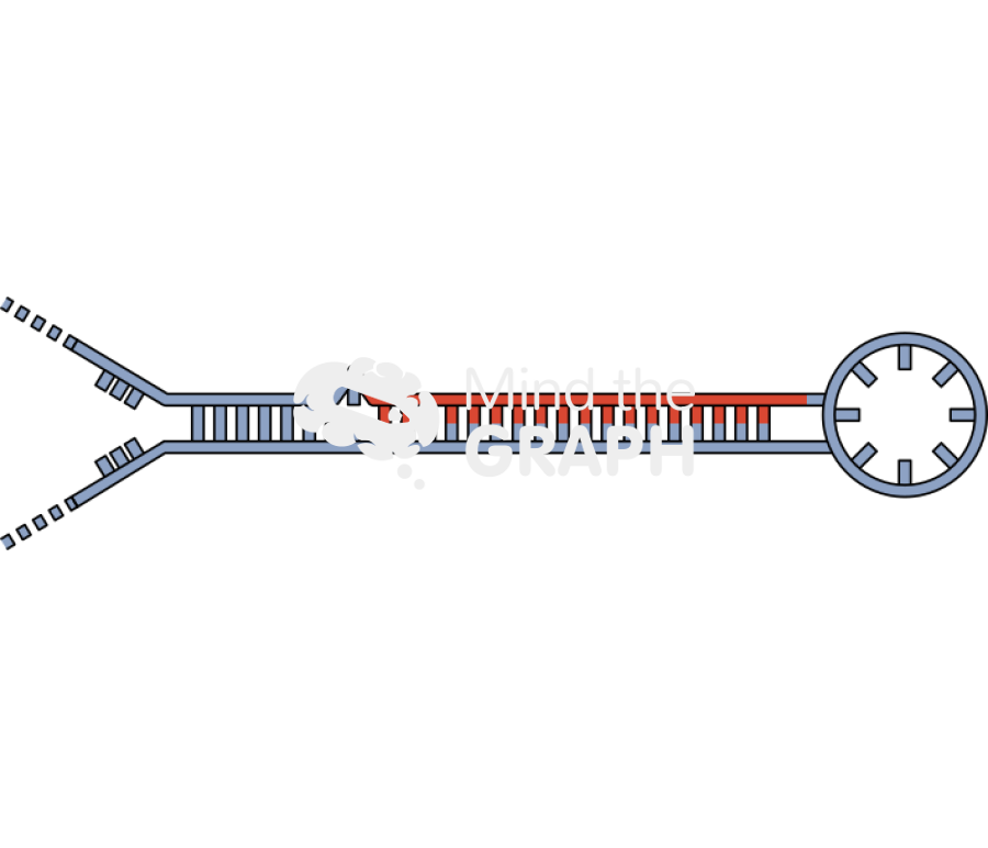 Pre micro rna 2 Icons, Symbols, Pictures, and Images