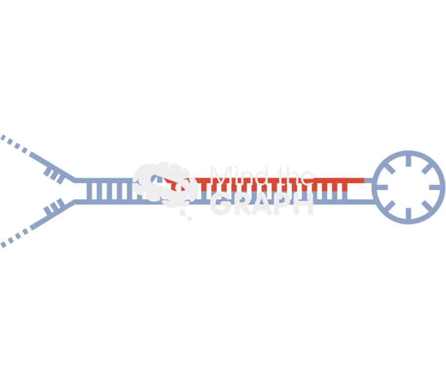 Pre micro rna 2 Icons, Symbols, Pictures, and Images