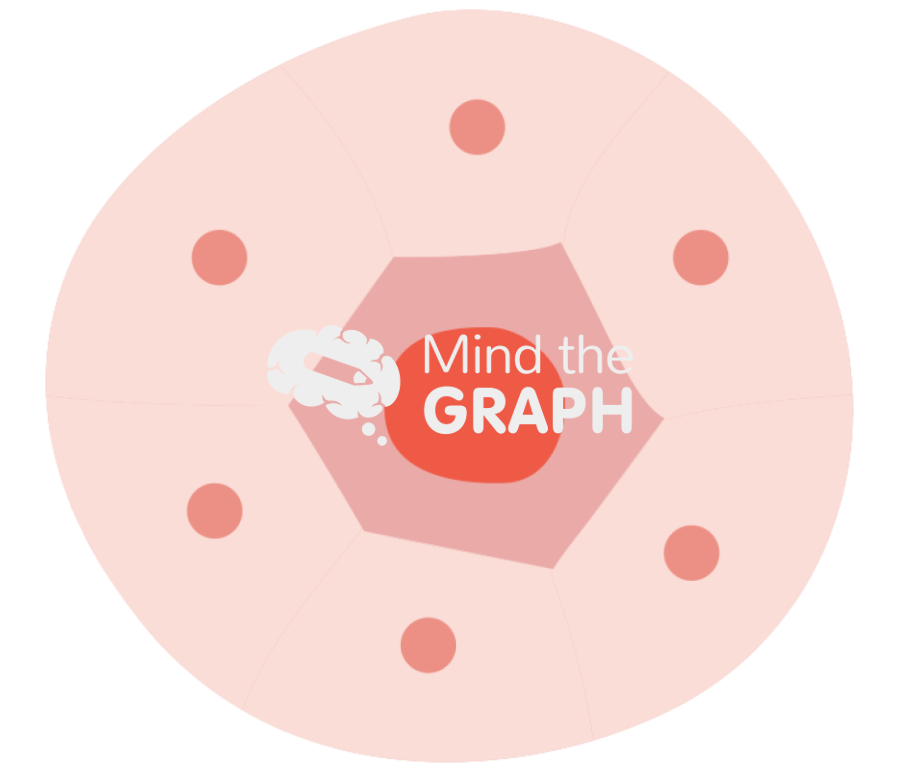 Primary follicle Icons, Symbols, Pictures, and Images