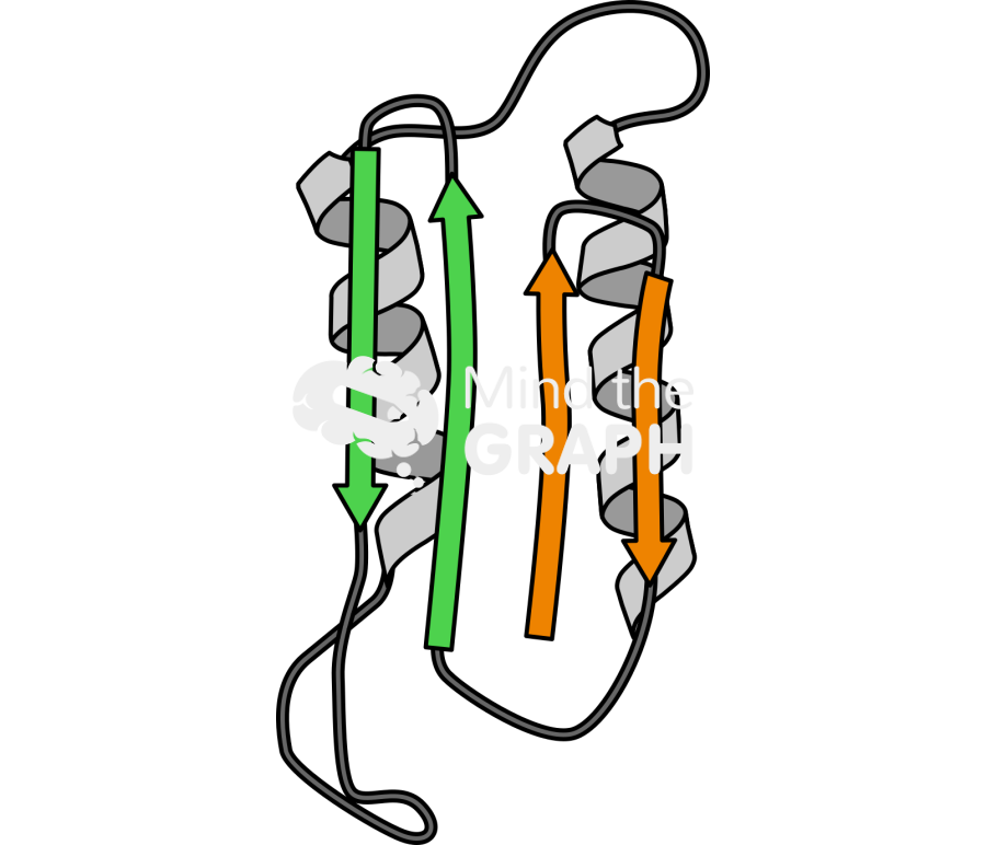 Prion protein structure Icons, Symbols, Pictures, and Images