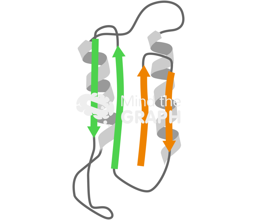 Prion protein structure Icons, Symbols, Pictures, and Images