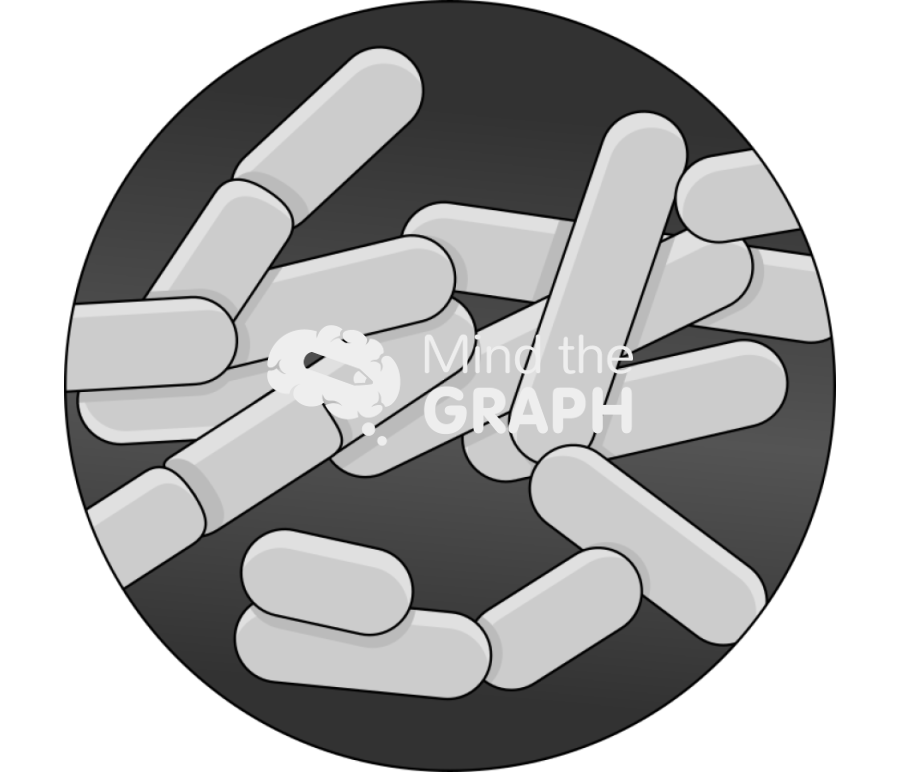 Probiotics lactobacilli zoom Icons, Symbols, Pictures, and Images