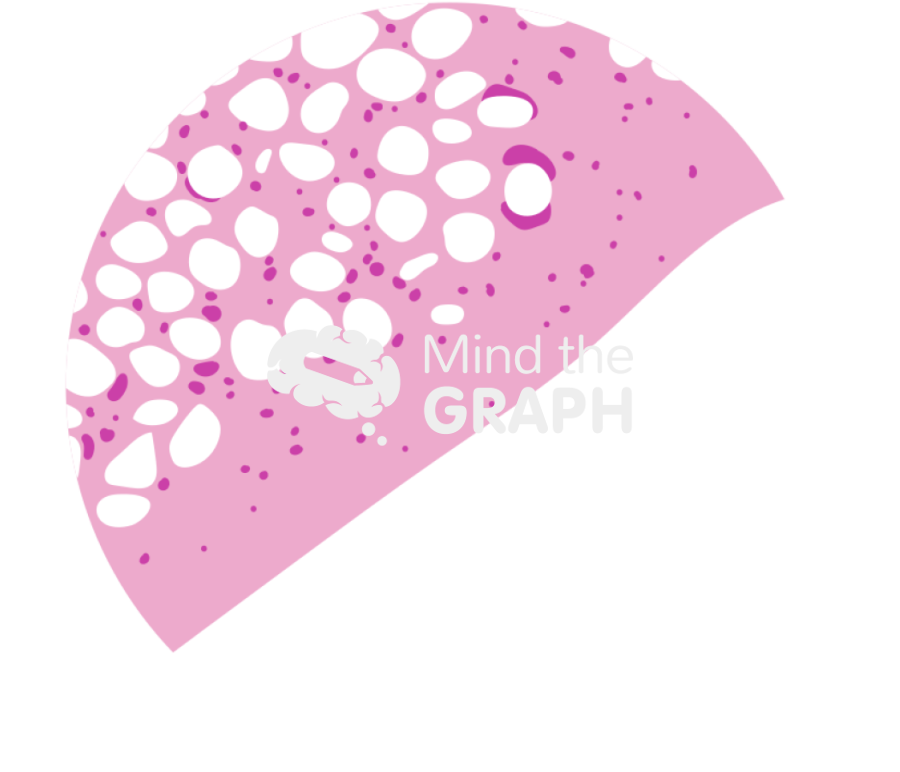 Progression of the neck partial regeneration pga 1 month zoom Icons, Symbols, Pictures, and Images