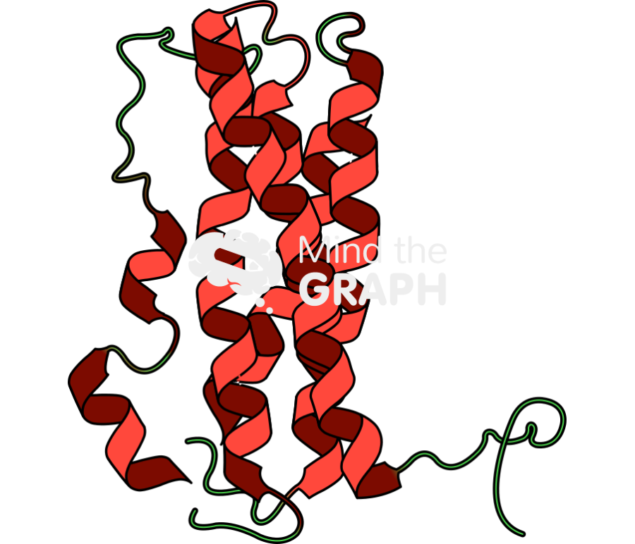 Prolactin Icons, Symbols, Pictures, and Images
