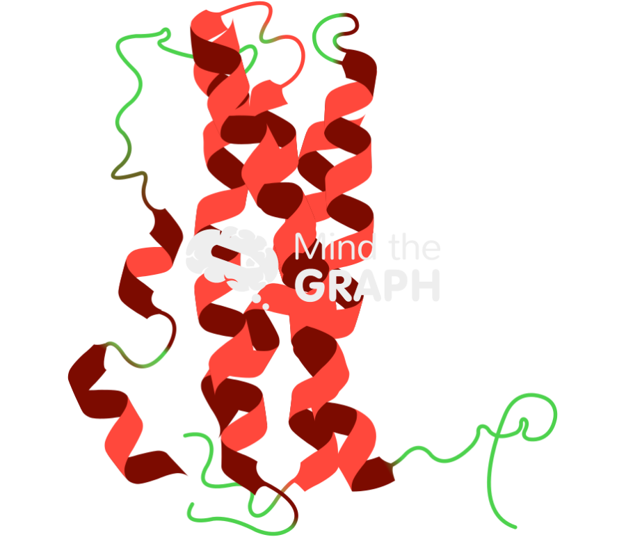 Prolactin Icons, Symbols, Pictures, and Images