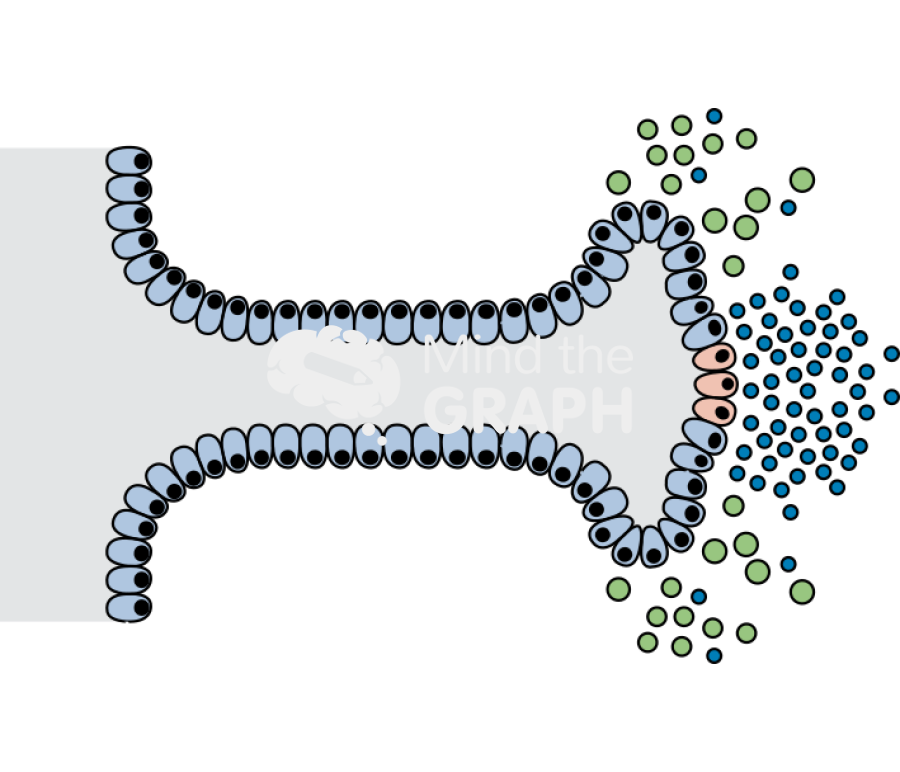 Prostate development stage 3 Icons, Symbols, Pictures, and Images
