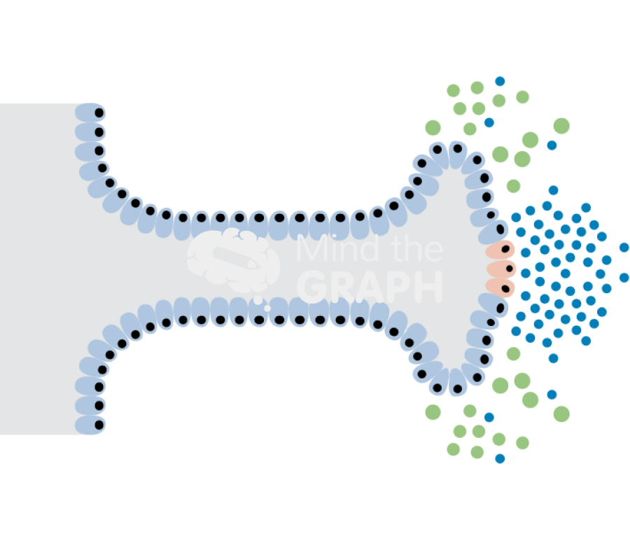 Prostate development stage 3 Icons, Symbols, Pictures, and Images